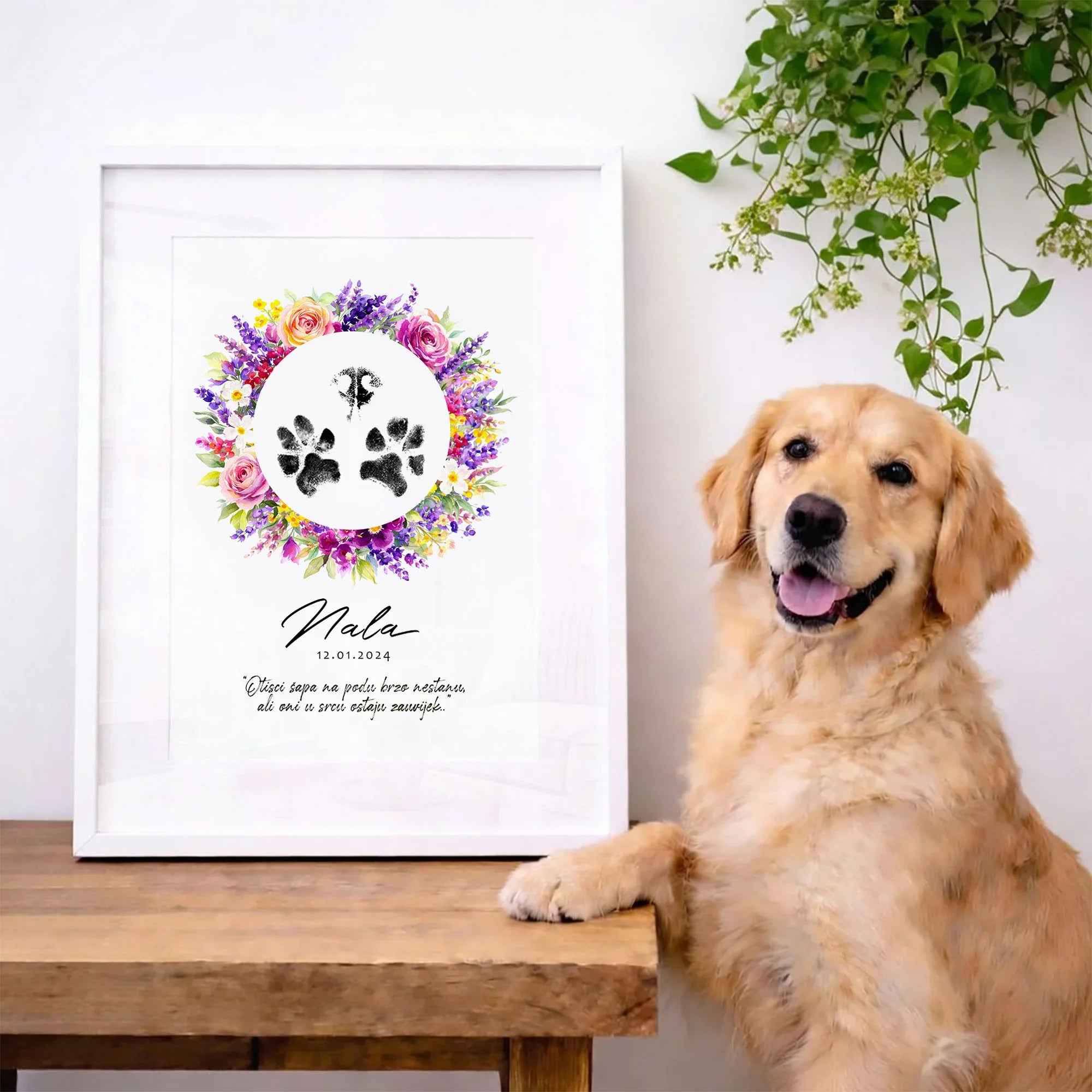 Psi otisci šapica print DI ADORE