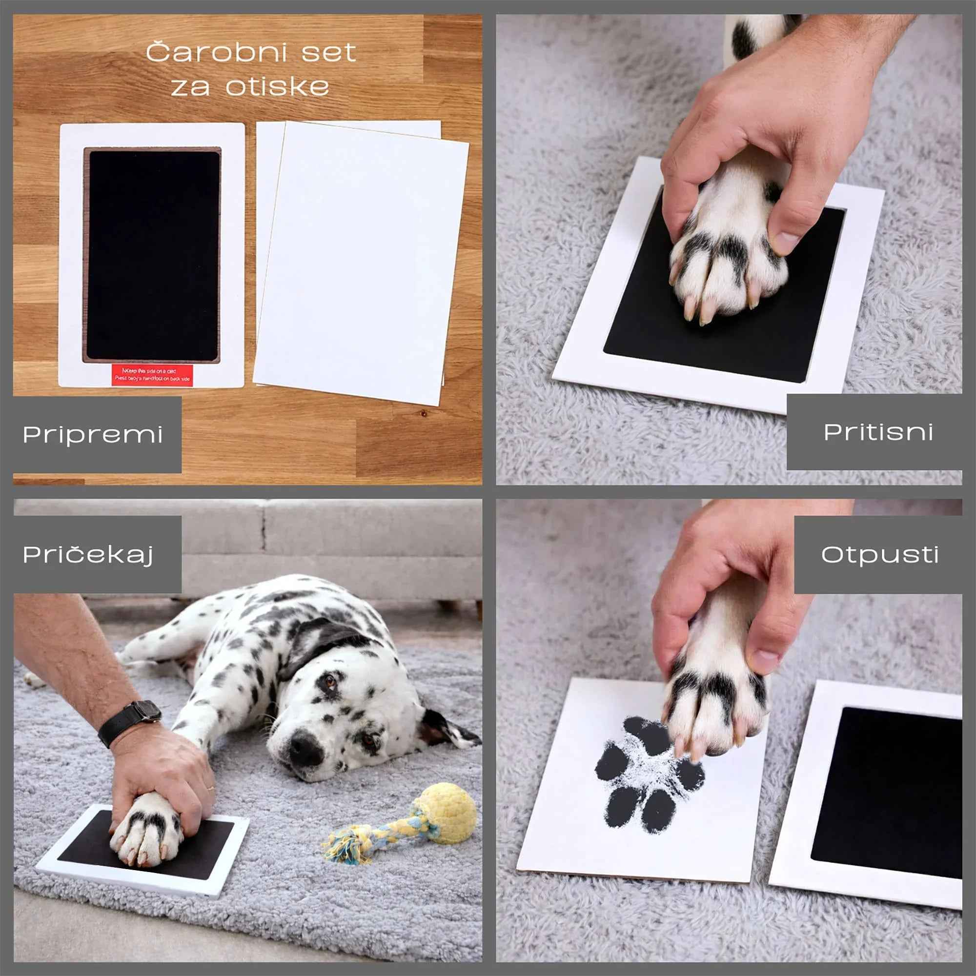 Ljubimci otisci - print - DI ADORE